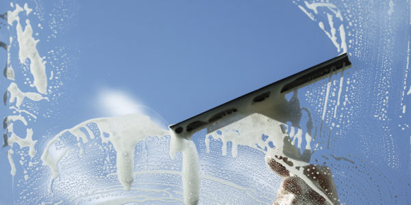 Window cleaner using a squeegee to wash a window